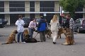 Nachzuchttreffen 08_08 014